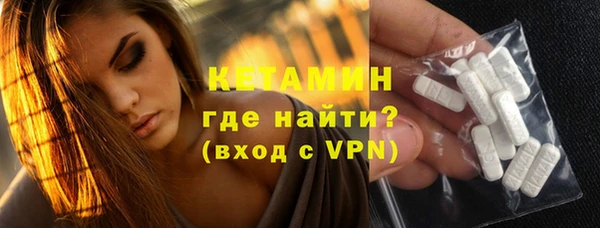 сатива Вяземский