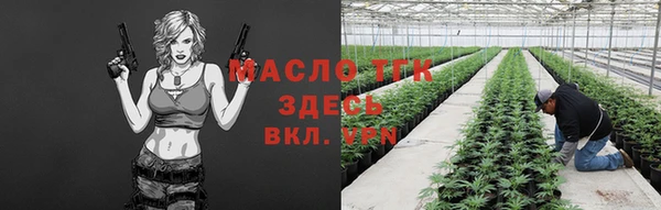 сатива Вяземский
