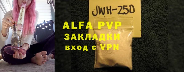 сатива Вяземский
