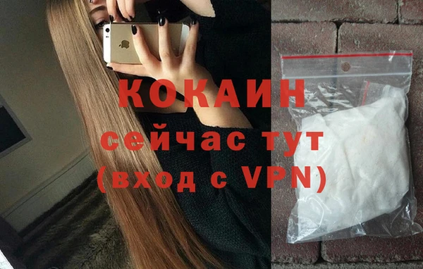 сатива Вяземский