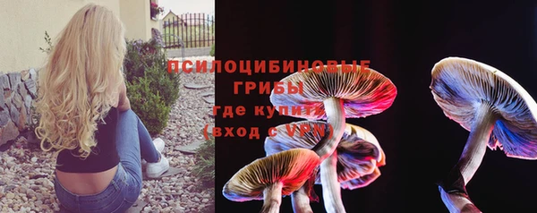 сатива Вяземский