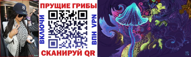 Галлюциногенные грибы Cubensis  Карачев 